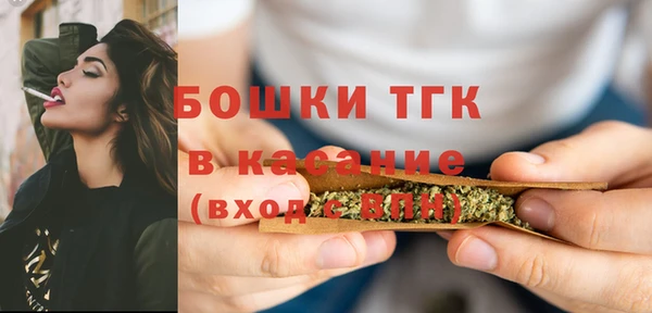 мдпв Верхний Тагил
