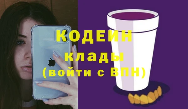 мдпв Верхний Тагил