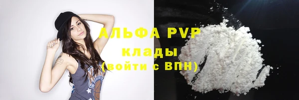 мдпв Верхний Тагил