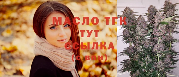 мдпв Верхний Тагил