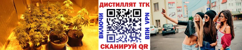 нарко площадка Telegram Меленки Дистиллят ТГК концентрат