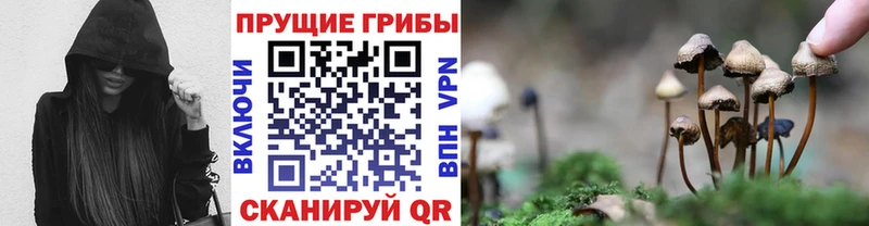 сколько стоит  Меленки  Галлюциногенные грибы Cubensis 