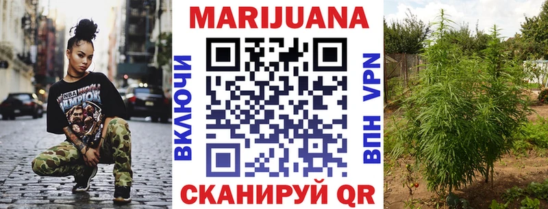 Конопля сатива Меленки
